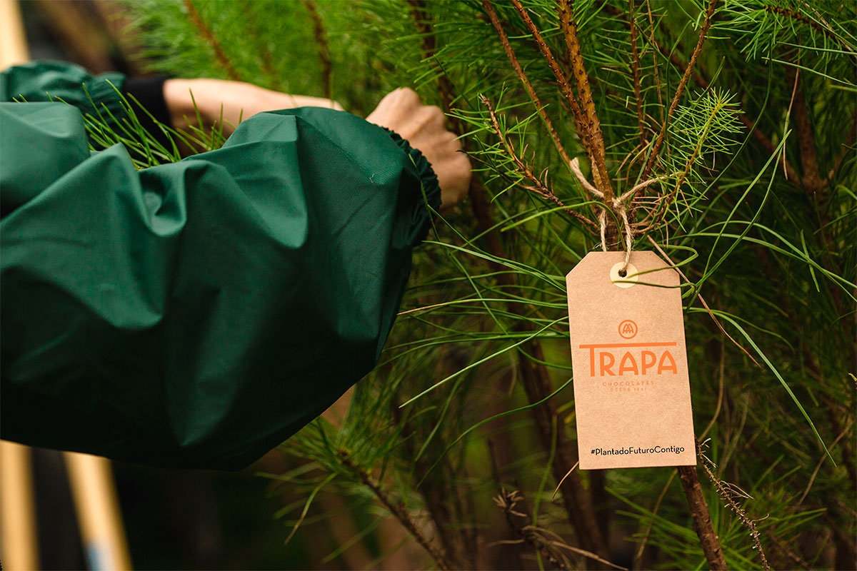 CHOCOLATES TRAPA ARRANCA LA TERCERA FASE DE SU PROYECTO DE REFORESTACIÓN ‘PLANTANDO FUTURO CONTIGO’ CON NUEVAS CITAS EN A CORUÑA Y LA RIOJA